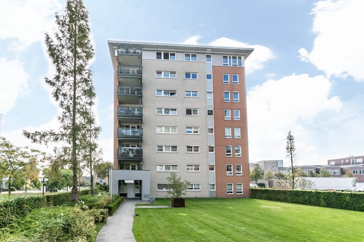 Foto 28 van Folkloriada 3