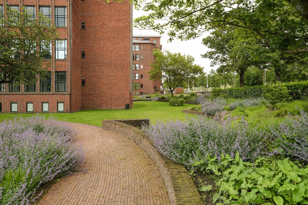 Foto 58 van Plesmanweg 389