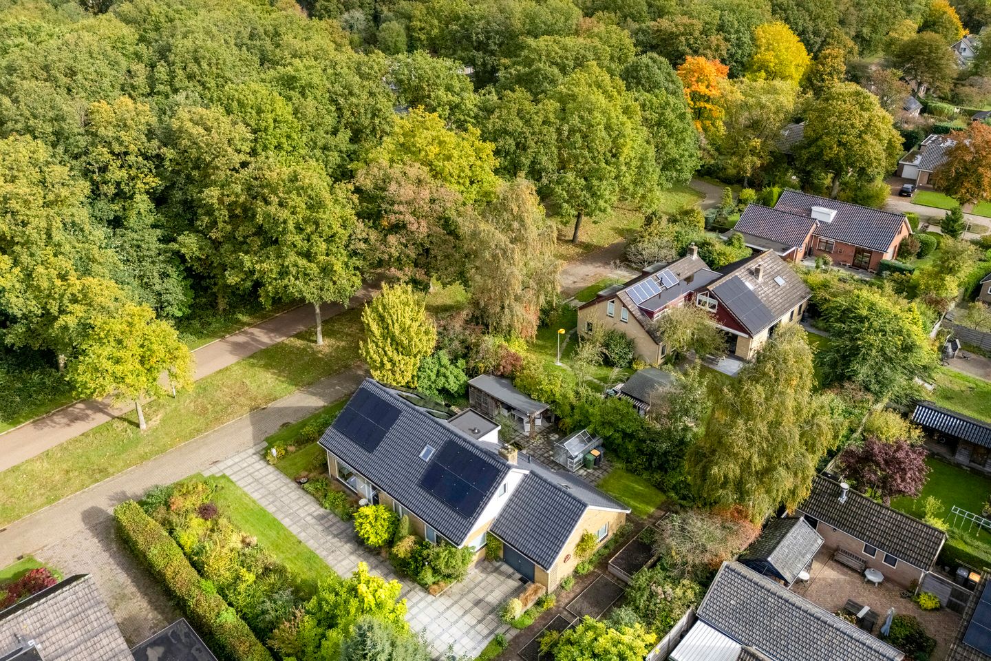 Foto 5 van Wandelbosweg 5