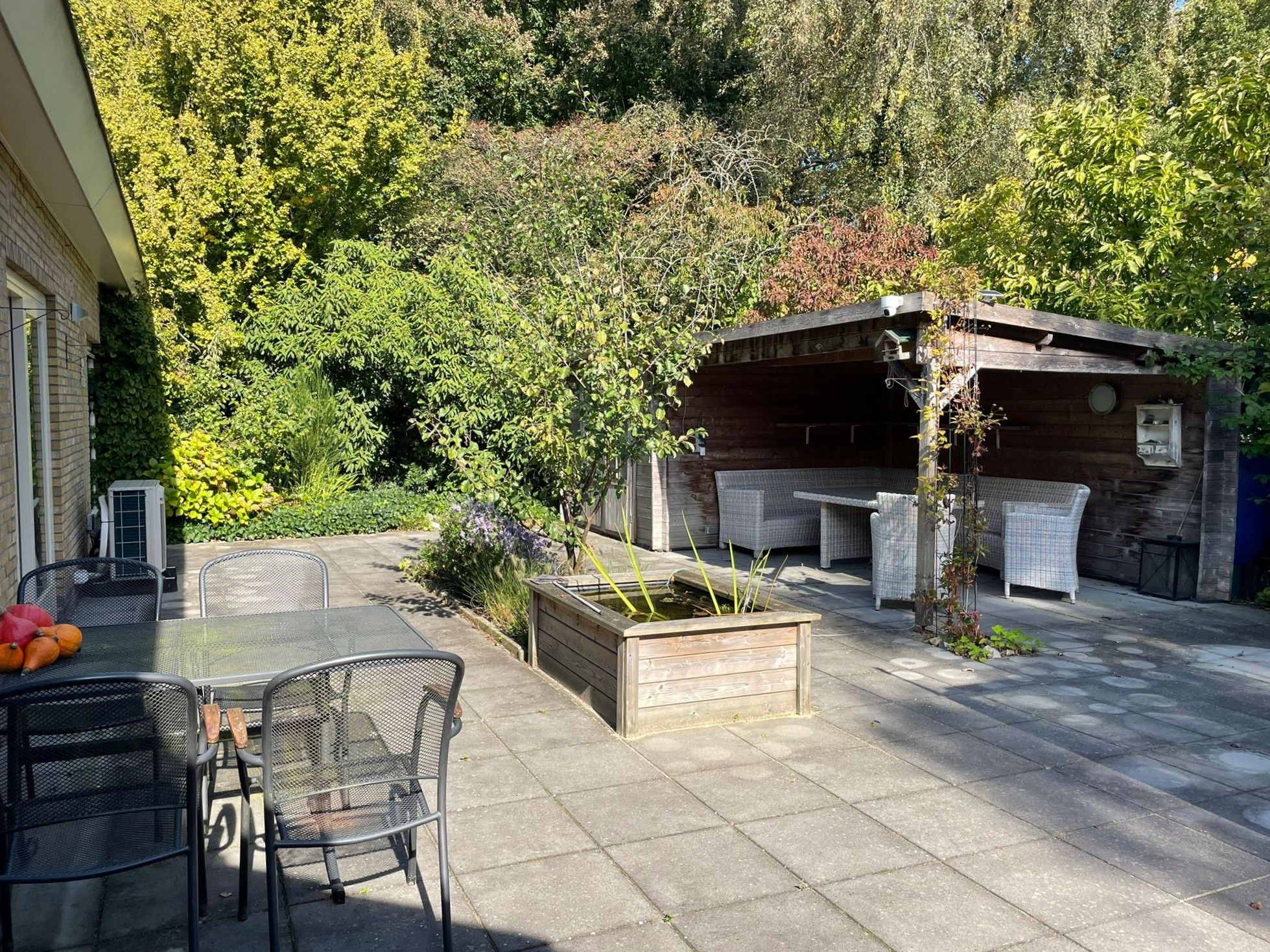 Foto 48 van Wandelbosweg 5