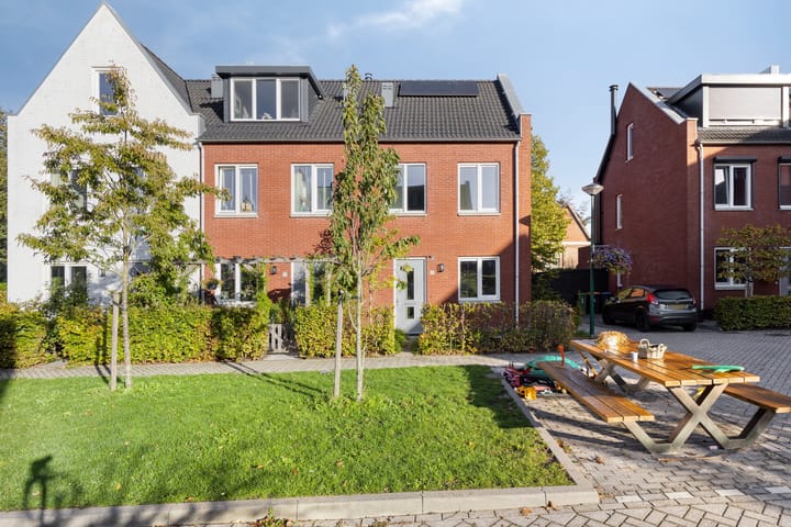 Lion Cachethof 20 main image