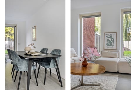 Lion Cachethof 20 tertiary image