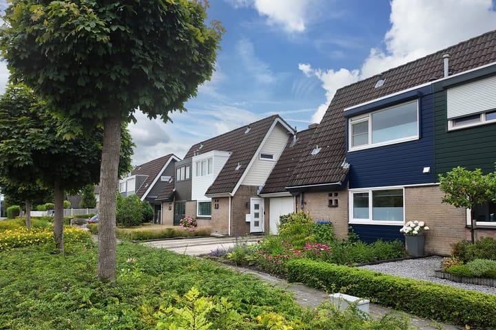 Foto 53 van Repelweg 9