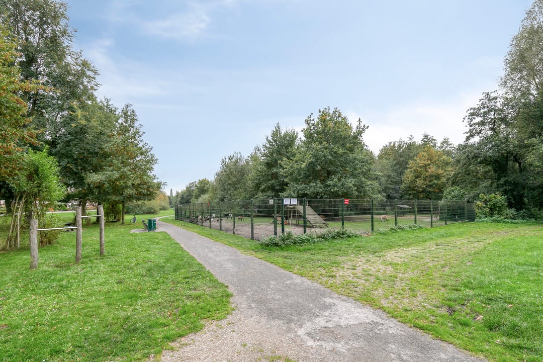 Foto 31 van Kornoeljelaan 6