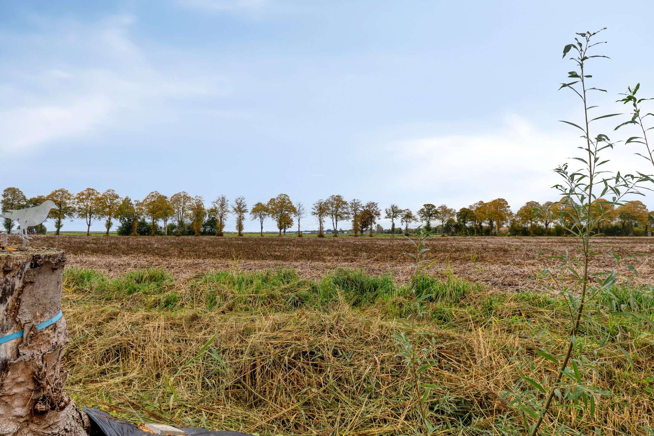 Foto 36 van Semsstraat 135