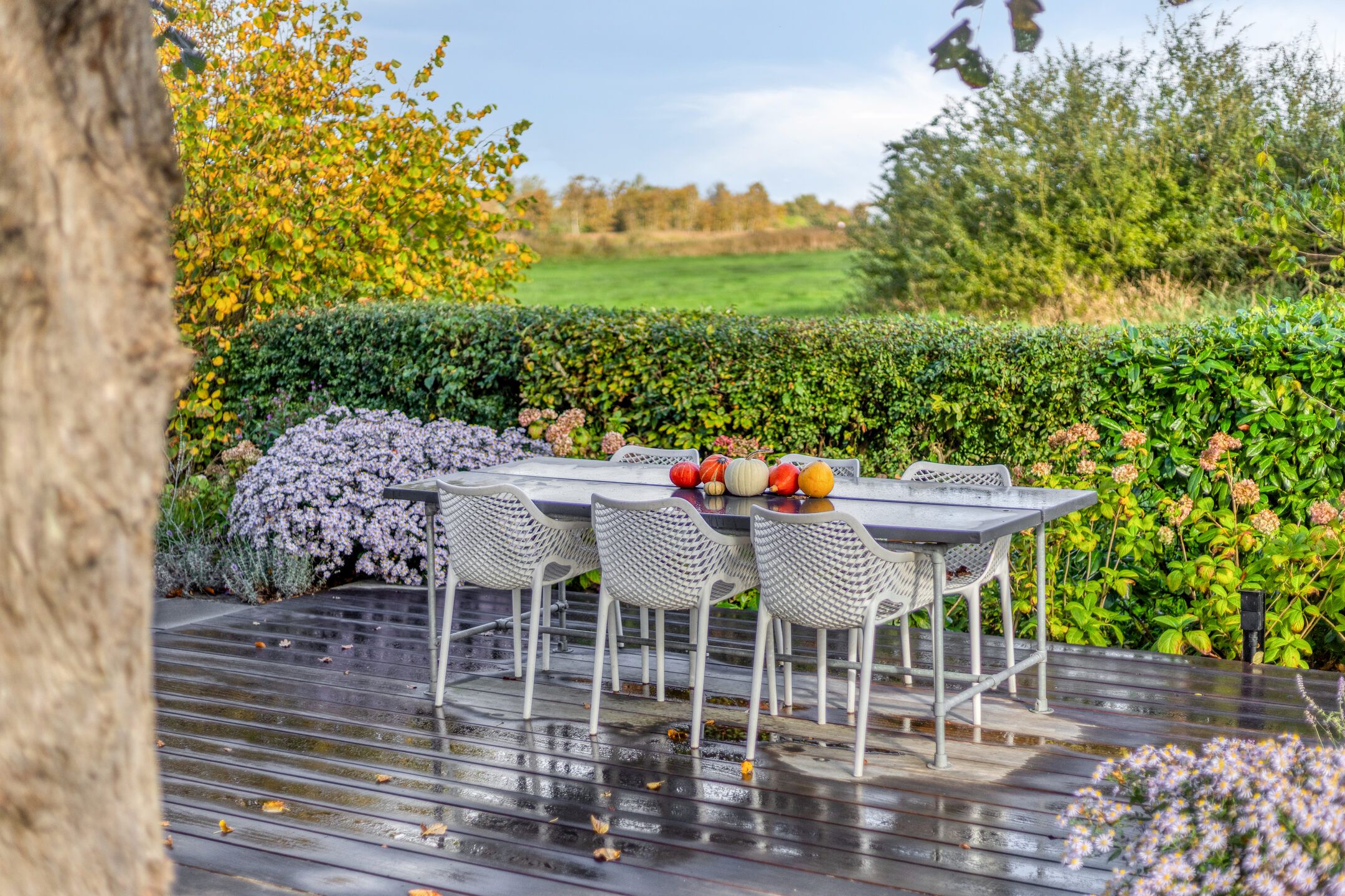 Photo 39 of Pieter Stuyvesantweg 199