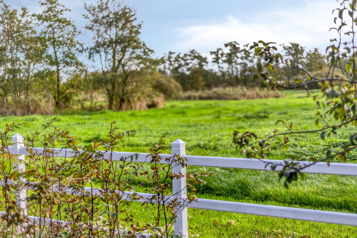 Photo 50 of Pieter Stuyvesantweg 199