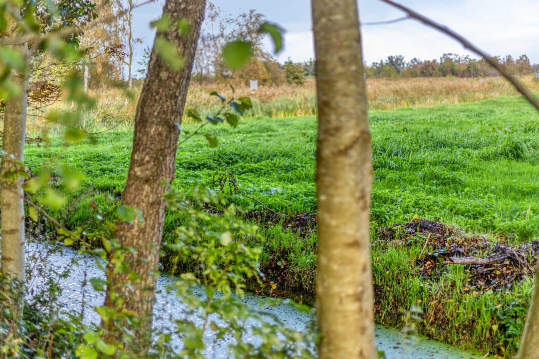 Photo 58 of Pieter Stuyvesantweg 199