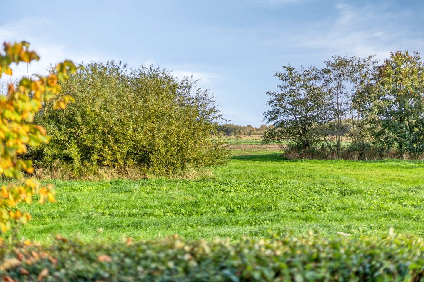 Photo 59 of Pieter Stuyvesantweg 199