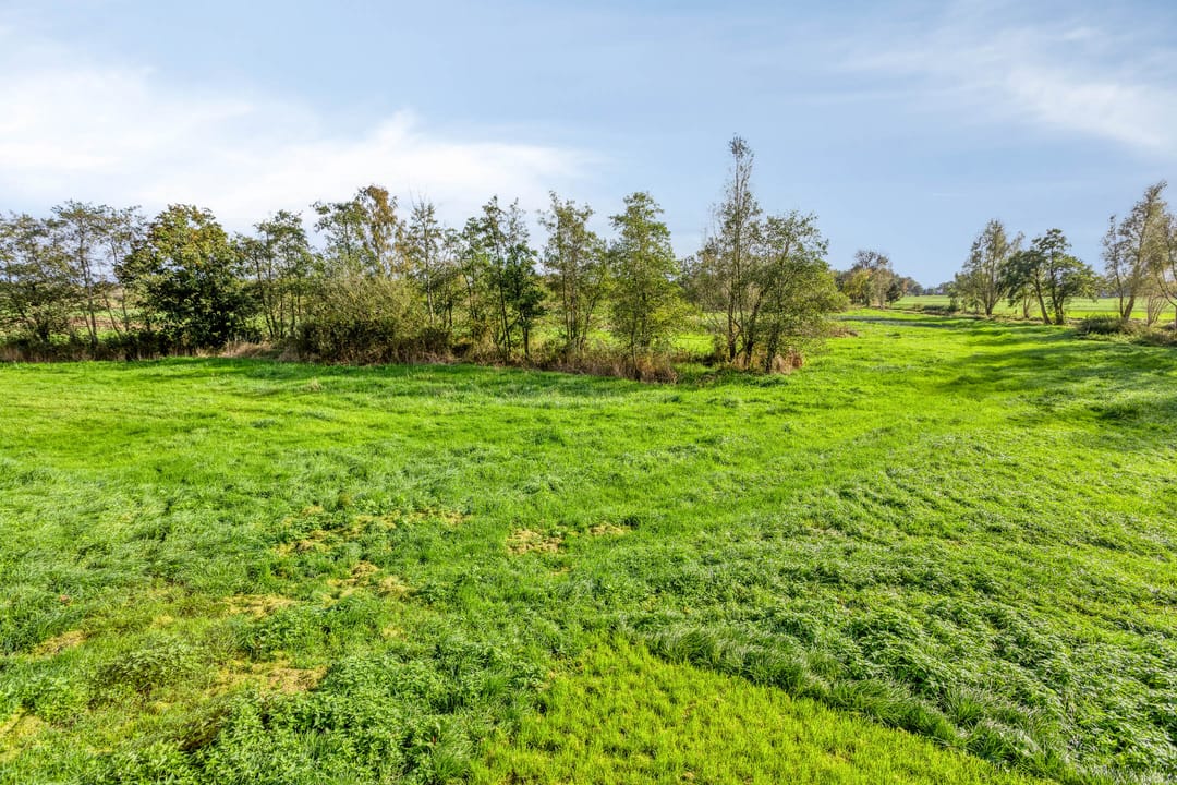 Photo 61 of Pieter Stuyvesantweg 199