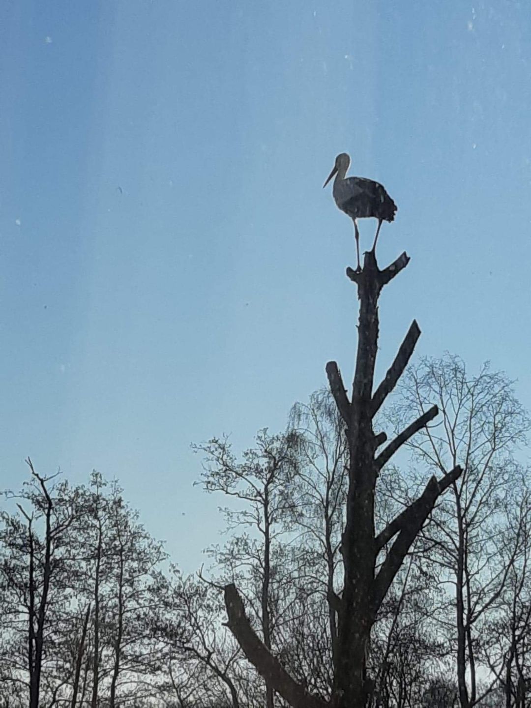 Photo 62 of Pieter Stuyvesantweg 199