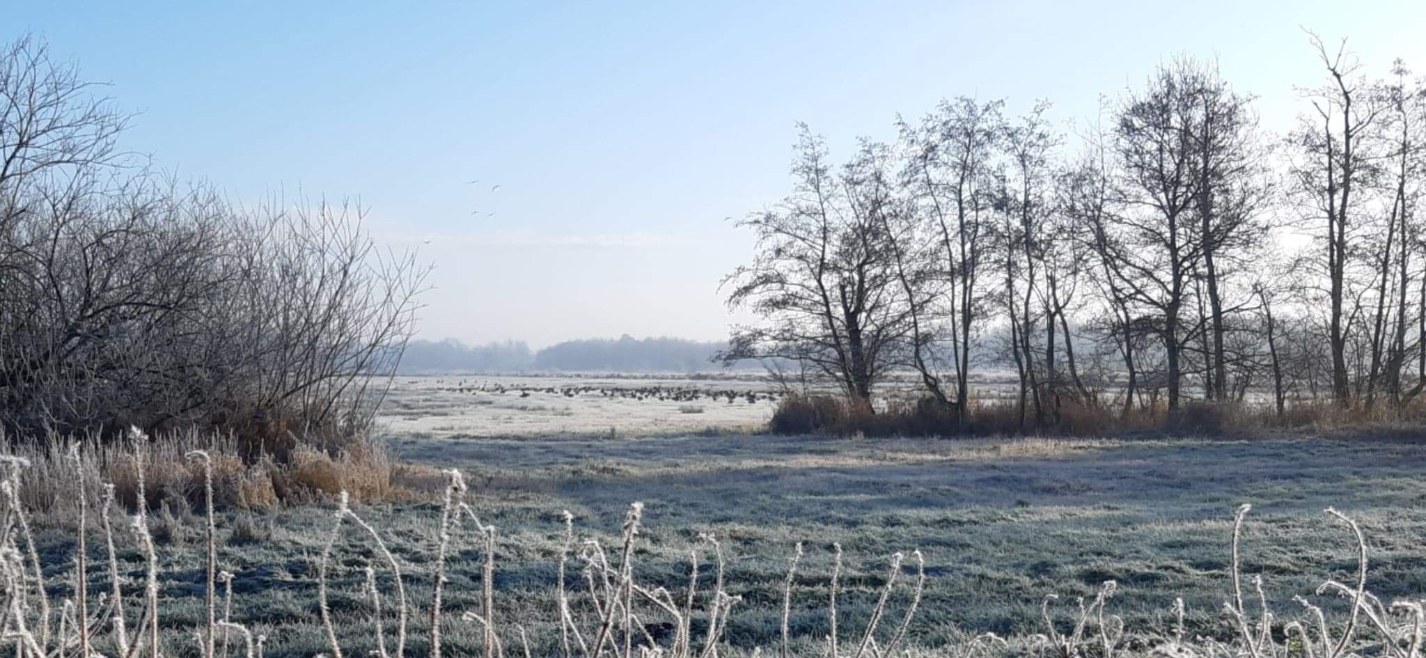 Photo 63 of Pieter Stuyvesantweg 199