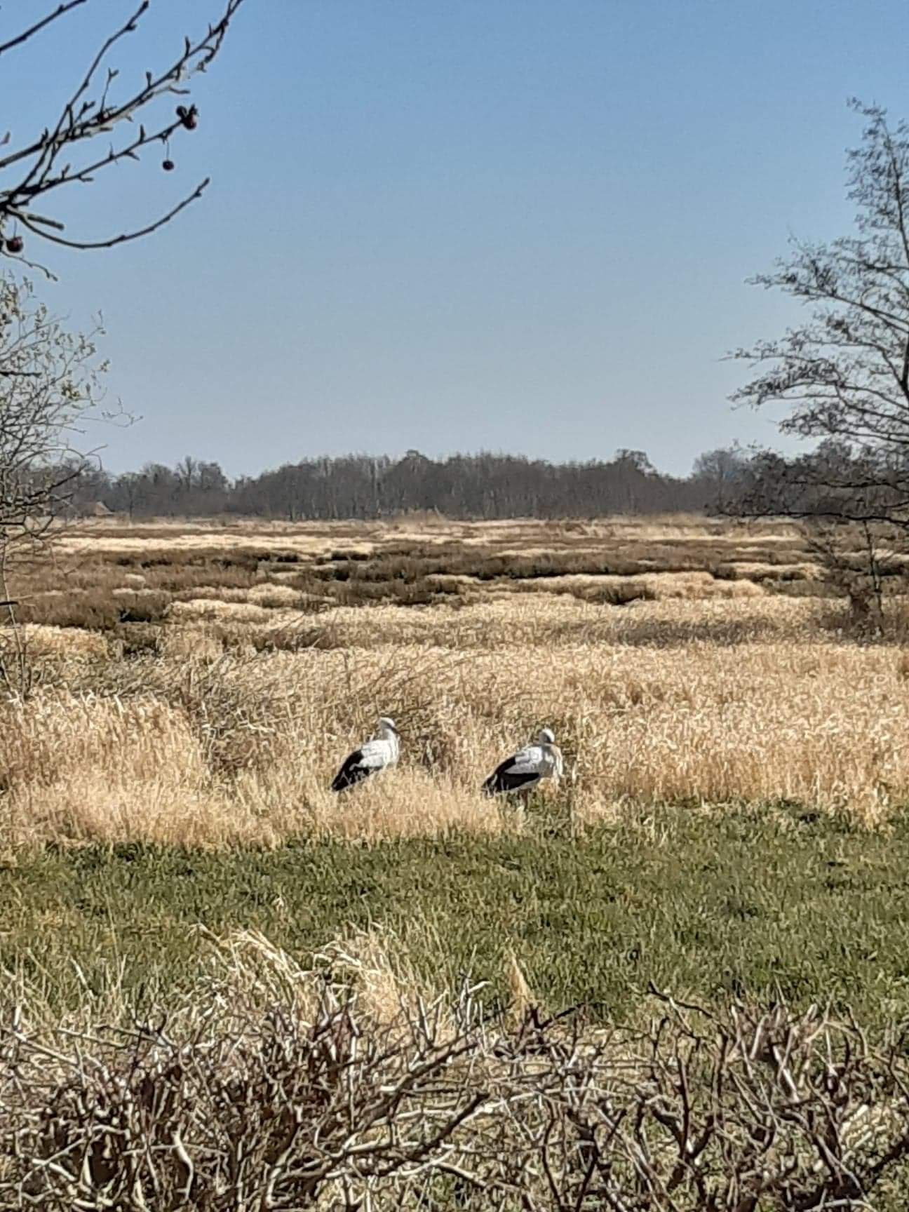 Photo 65 of Pieter Stuyvesantweg 199