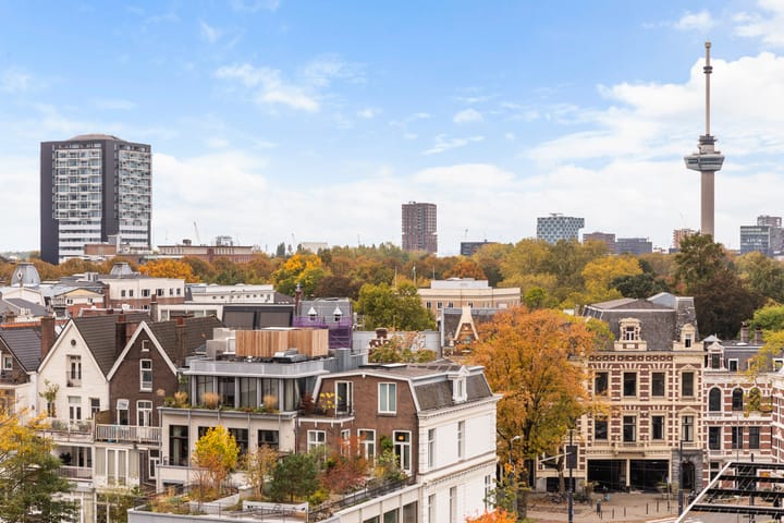 Photo 41 of Gedempte Zalmhaven 893