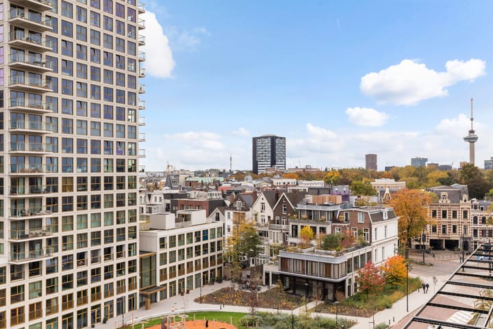 Photo 49 of Gedempte Zalmhaven 893