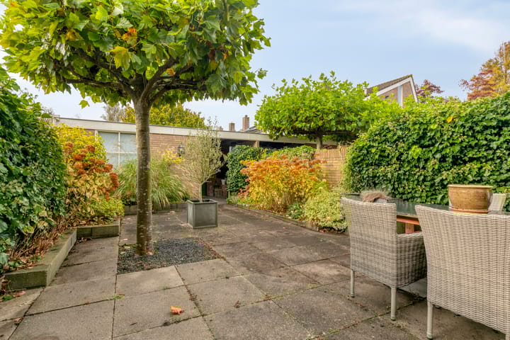 Foto 4 van Sleutelbloem 19