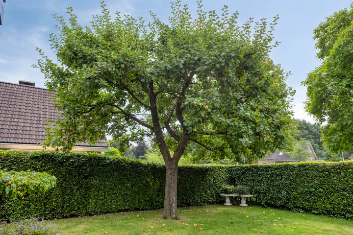 Foto 31 van Garsenshof 17