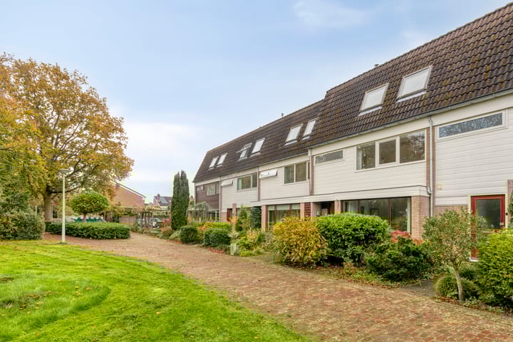 Foto 6 van Sleutelbloem 19