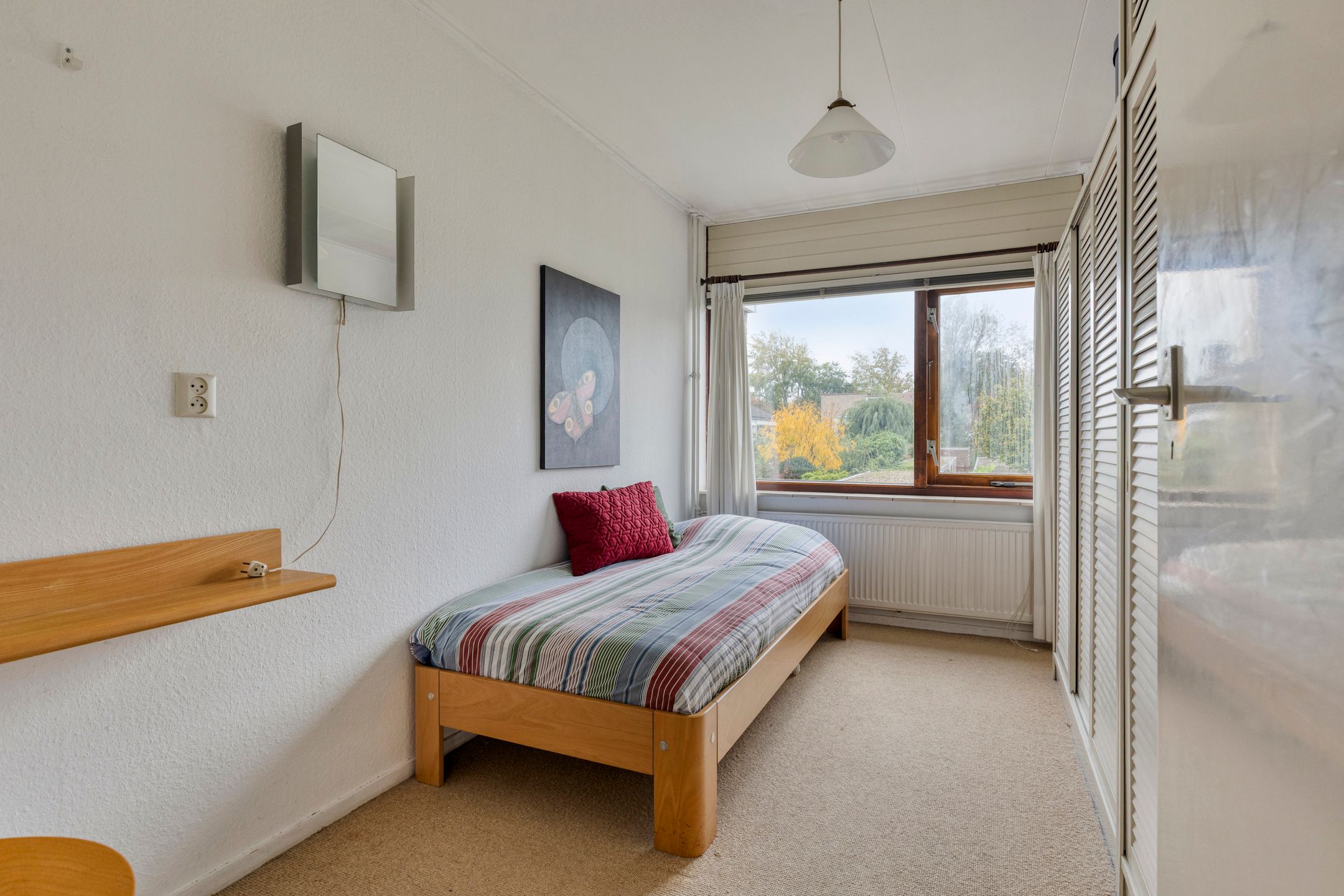 Foto 24 van Sleutelbloem 19