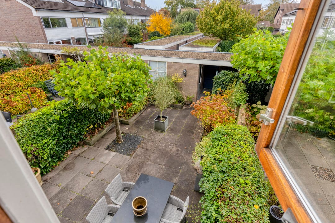 Foto 32 van Sleutelbloem 19