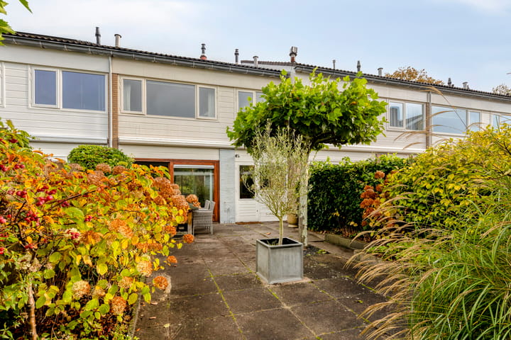 Foto 34 van Sleutelbloem 19