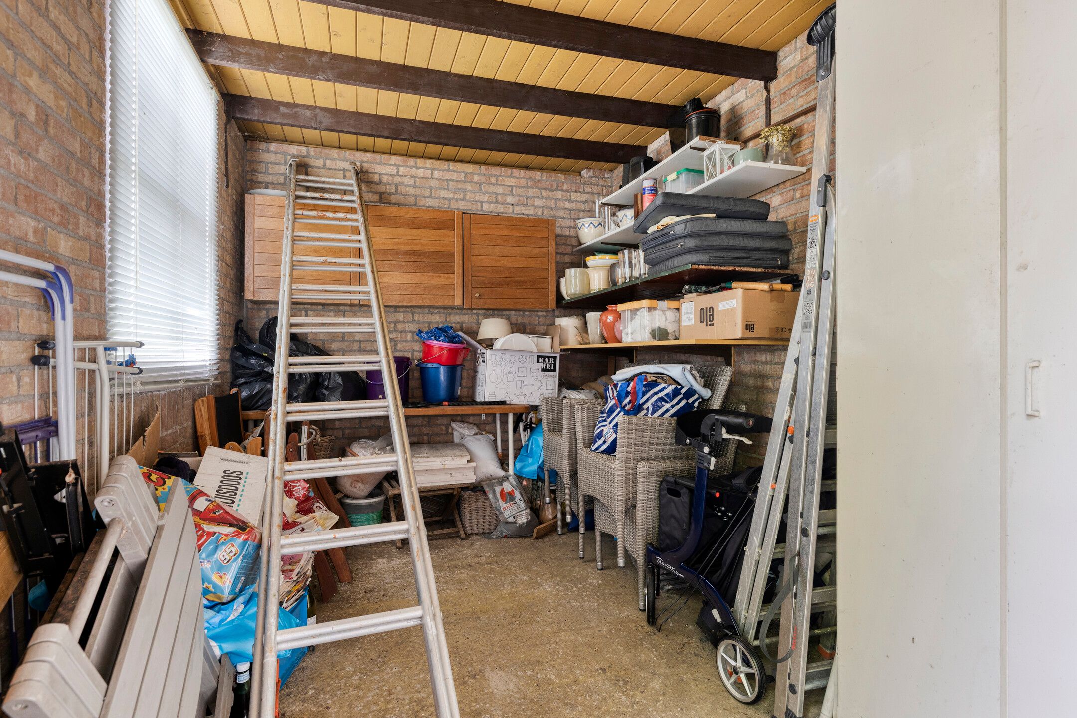 Foto 36 van Sleutelbloem 19