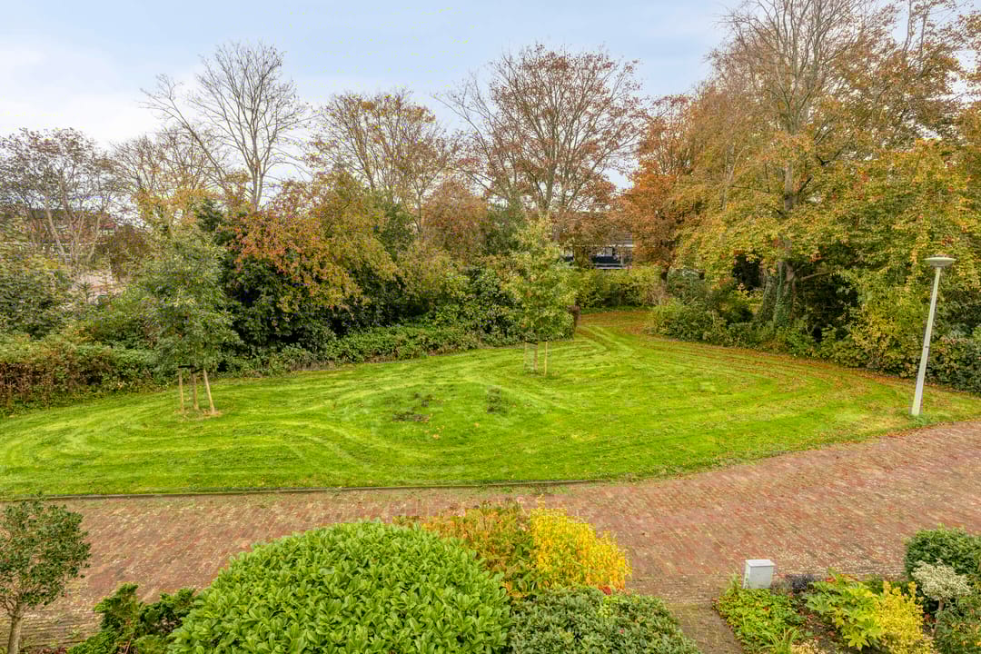 Foto 38 van Sleutelbloem 19