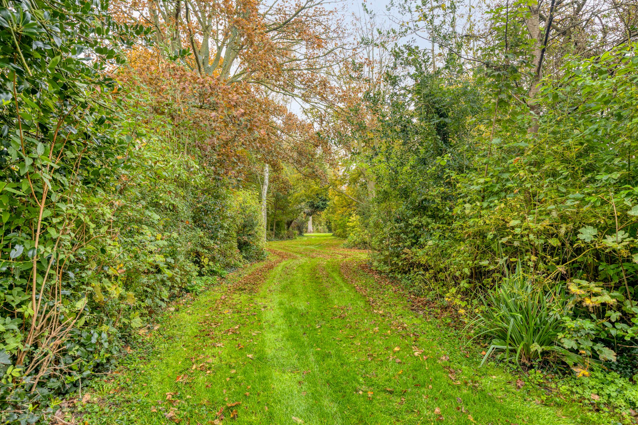 Foto 39 van Sleutelbloem 19