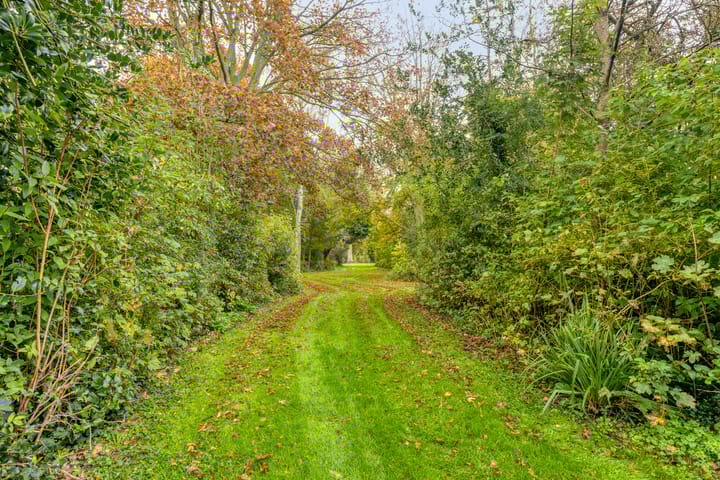 Foto 39 van Sleutelbloem 19