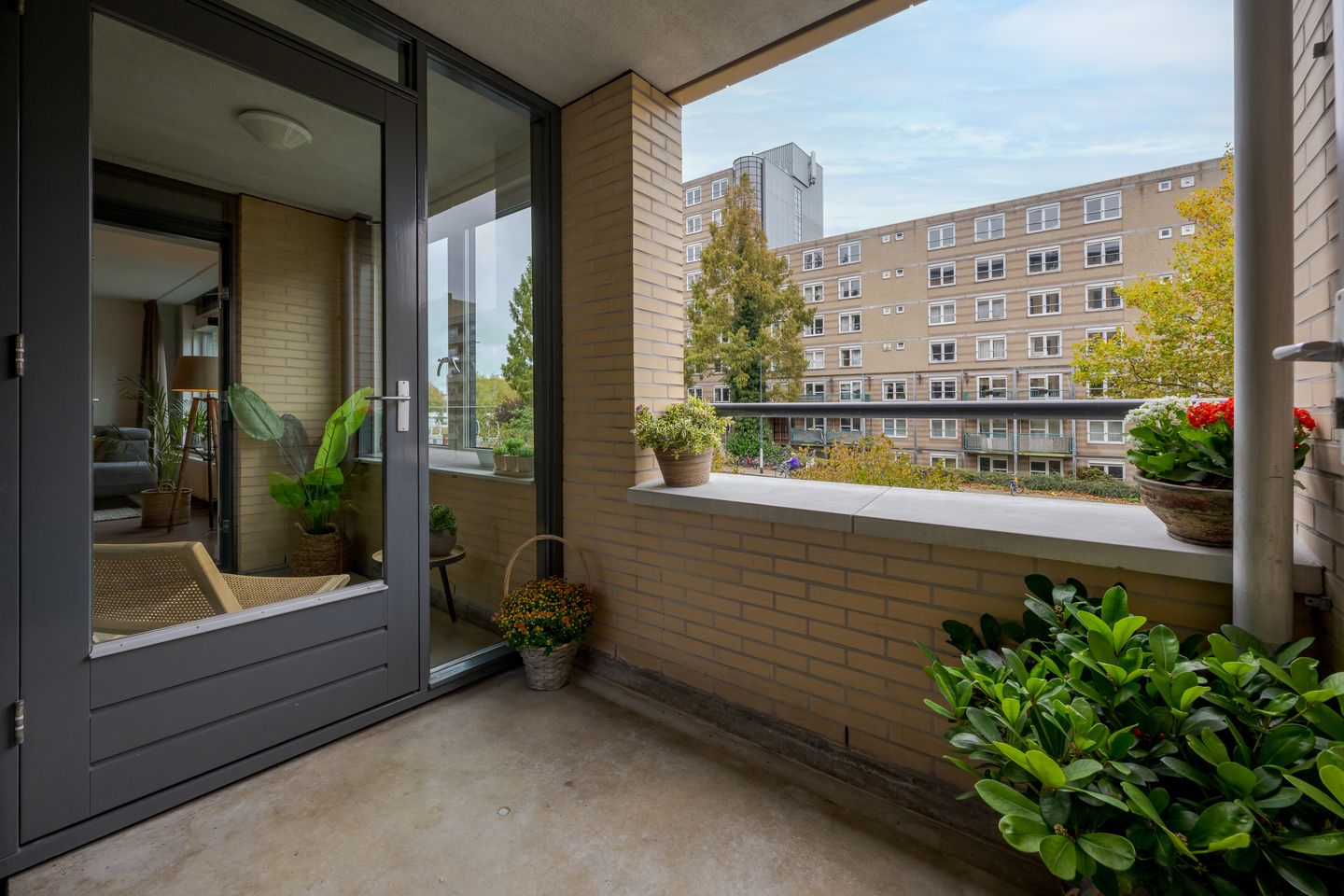 Foto 29 van Lasserstraat 8