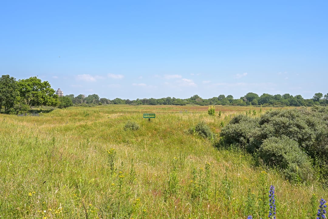 Foto 71 van Frankenslag 20