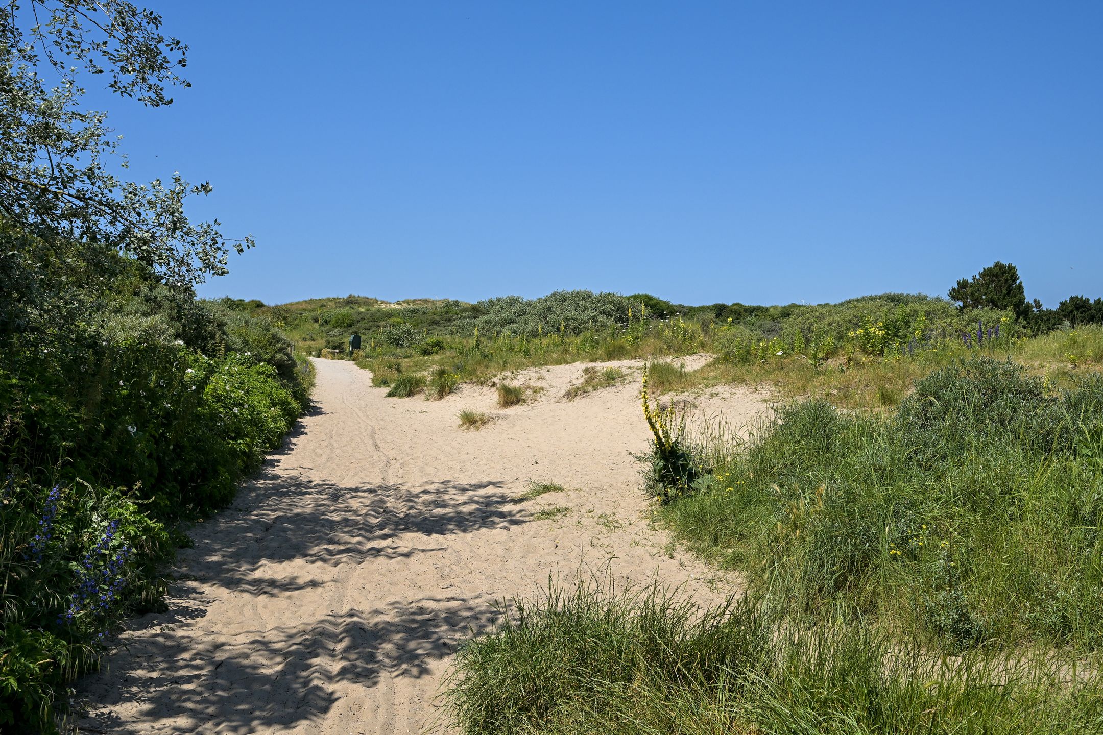 Foto 72 van Frankenslag 20