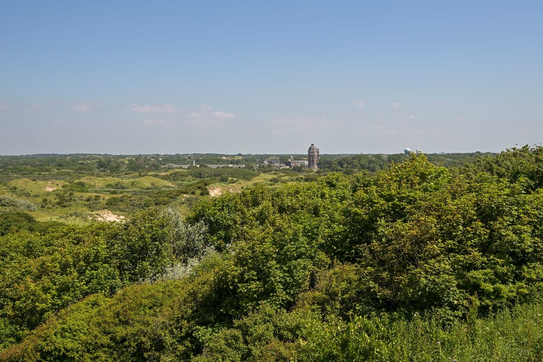 Foto 73 van Frankenslag 20