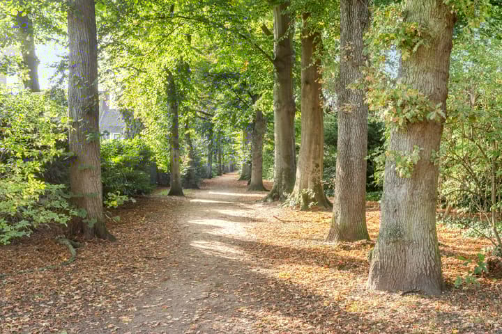 Foto 27 van Vaartweg 44-107