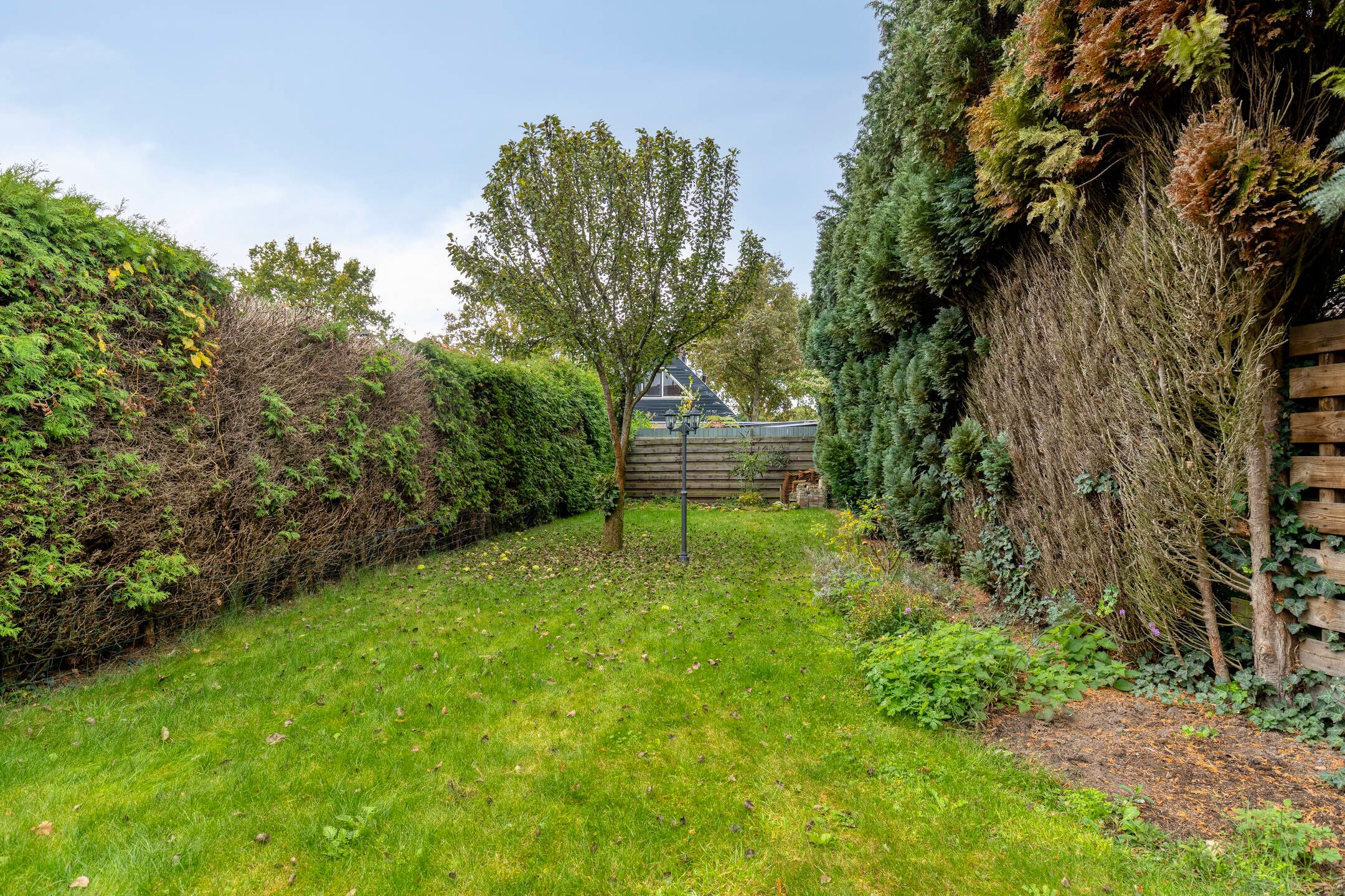 Foto 39 van Lijsterstraat 6