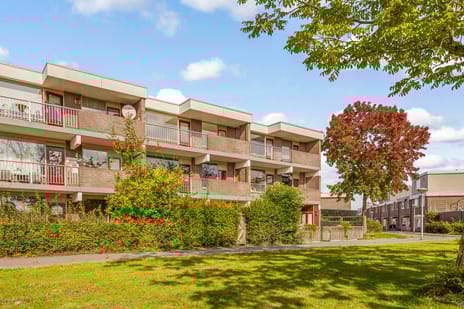 Leidenstraat thumbnail