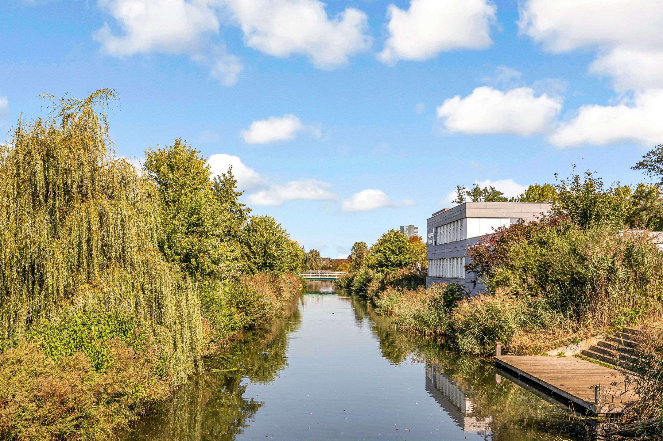 Photo 39 of Leidenstraat 45