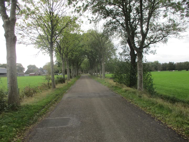 Photo 3 of Burchtweg 12