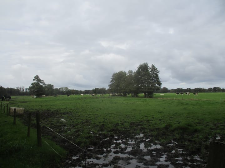 Photo 4 of Burchtweg 12