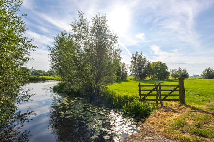 Photo 24 of Graafdijk-oost 17