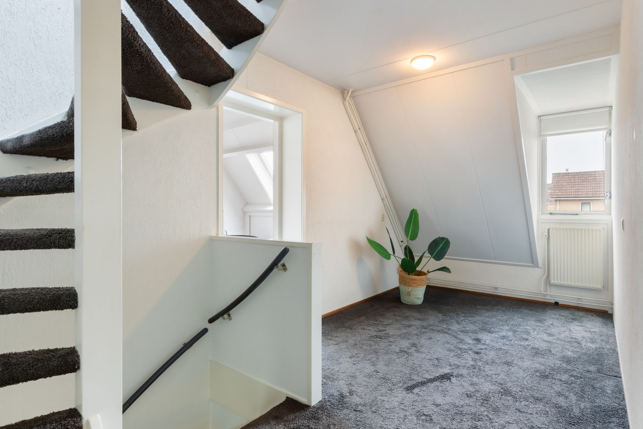 Foto 27 van Bronmos 25