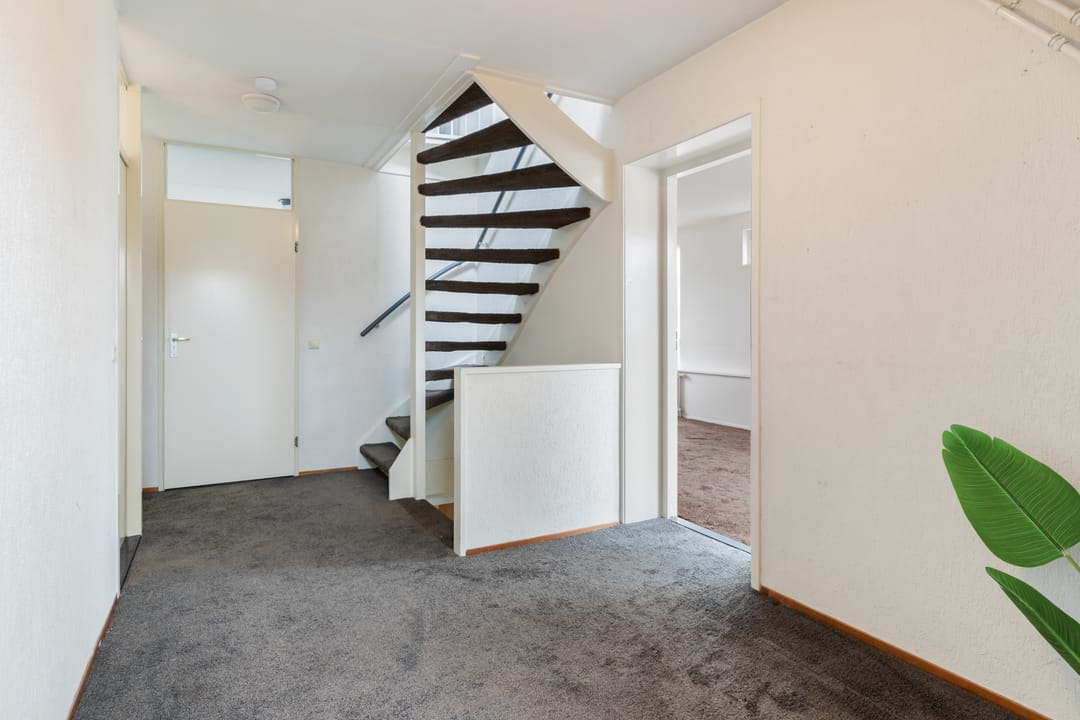 Foto 28 van Bronmos 25