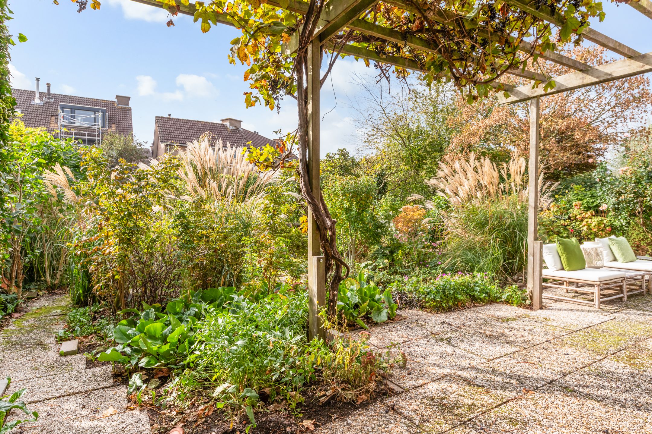 Foto 51 van Bronmos 25