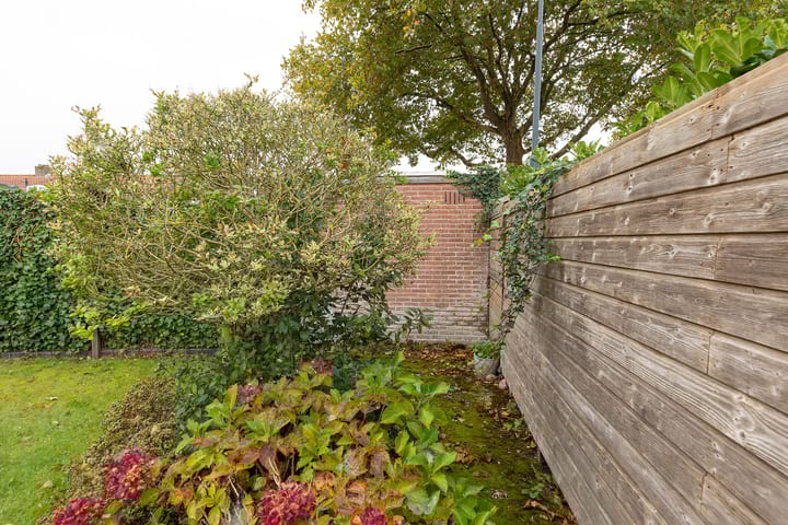 Foto 21 van Vuntuslaan 44