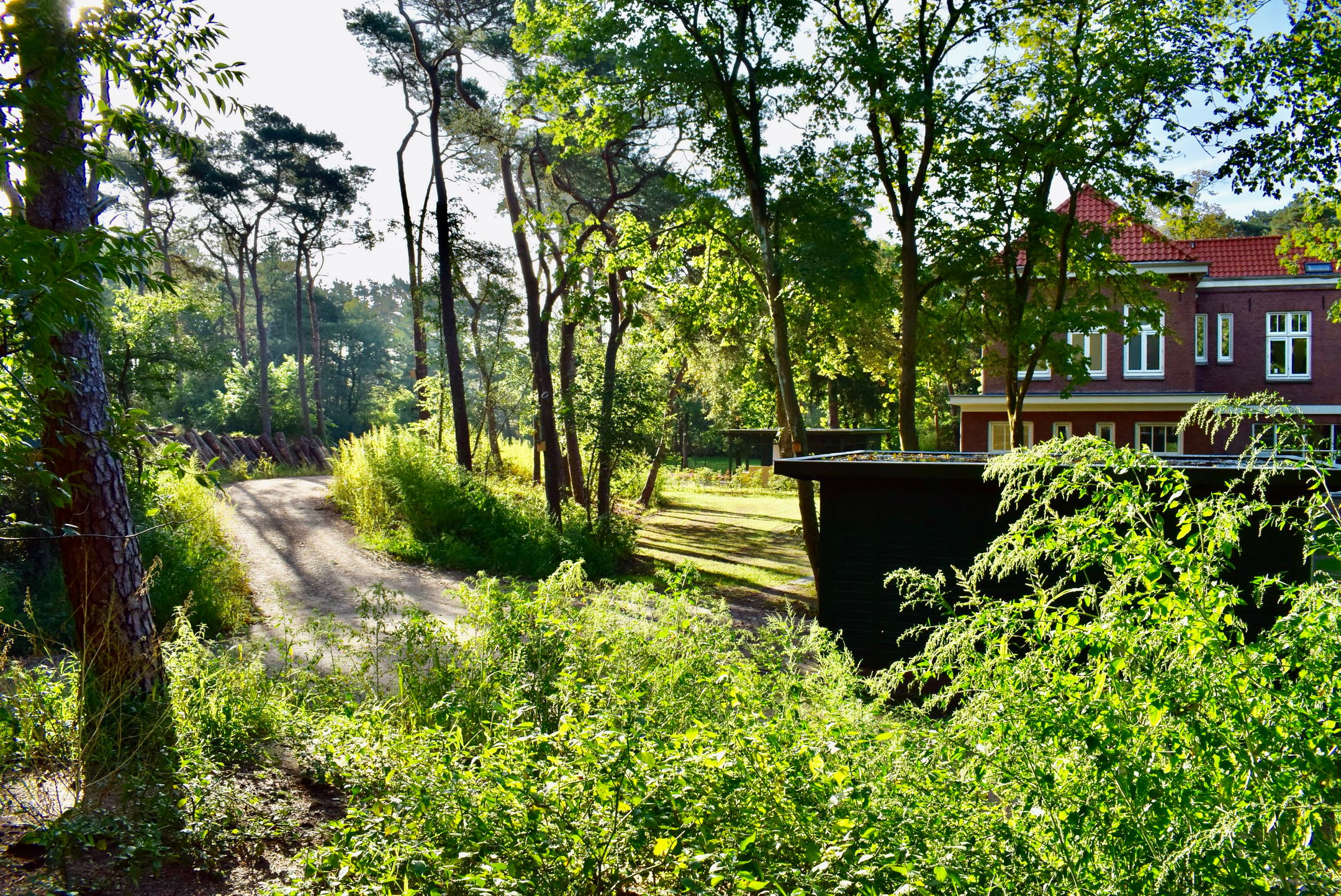 Photo 6 of Groenelaantje 35-G