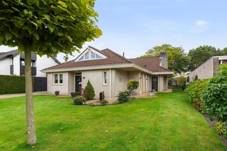 undefined main image