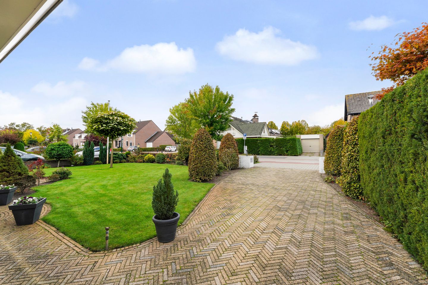 Foto 5 van Hei-akker 50