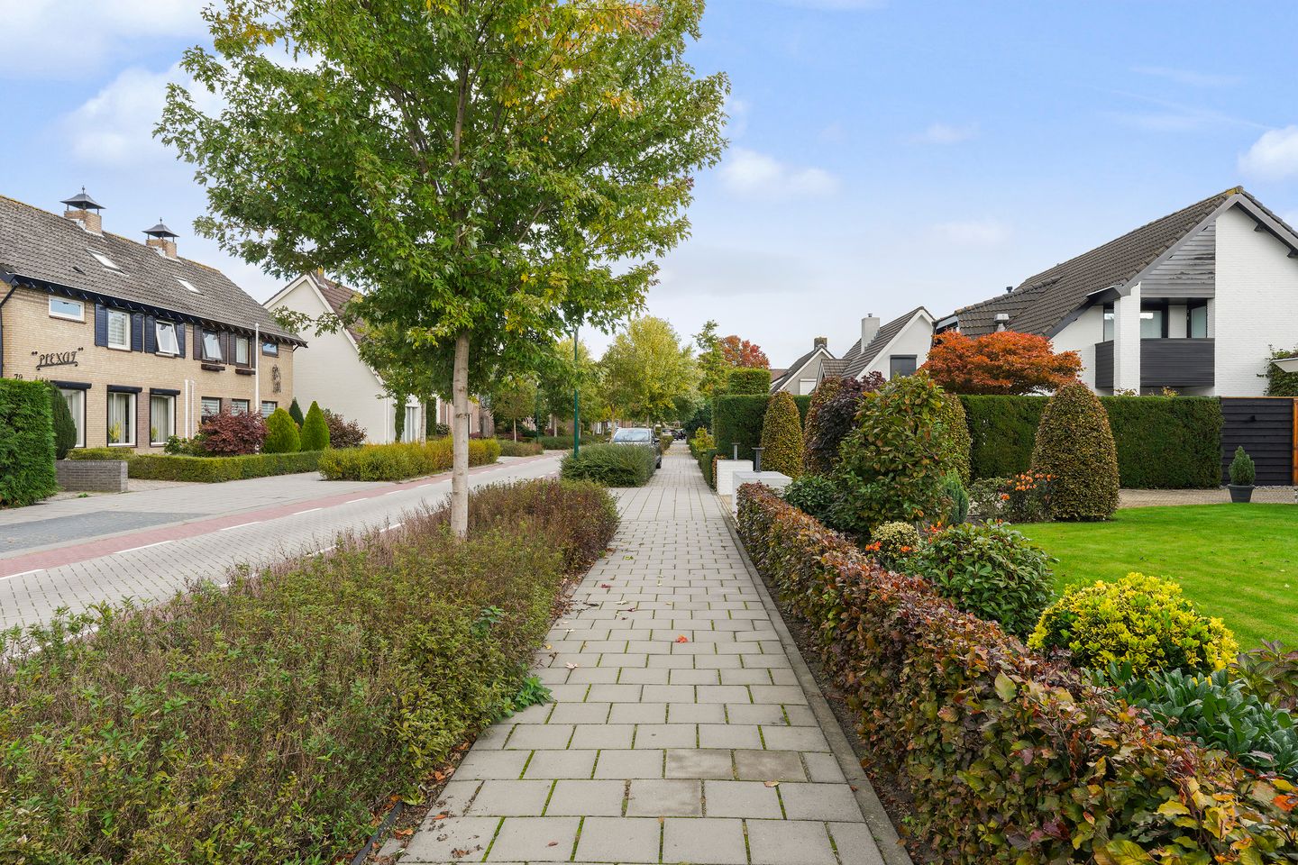 Foto 44 van Hei-akker 50