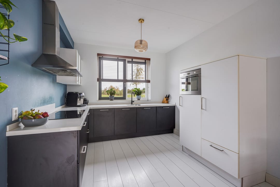 Foto 8 van Icarusblauwtje 35