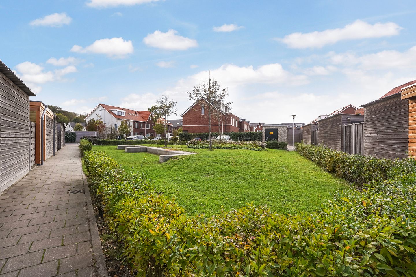 Foto 20 van Icarusblauwtje 35